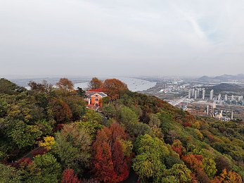 和按摩师做了一晚上高潮：身心放松，按摩奇缘之旅-2