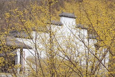 爱情岛入口：探寻千年爱情传说，揭开神秘爱情岛面纱，浪漫之旅等你来开启-4