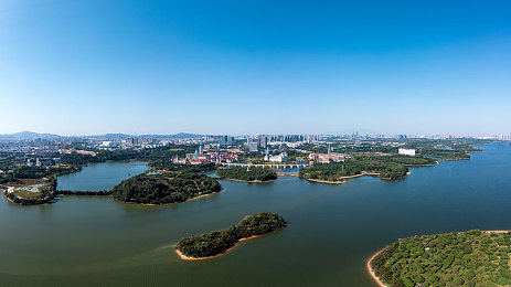 浪货今天就把你 到服为止文轩：文轩竞技巅峰，热血征程挑战无限-3