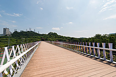 后进式大肥臀：趣味大臀探险，轻松游戏新篇章