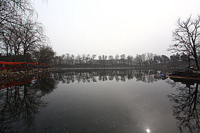 免费网站你懂我的意思吧：揭秘网络宝藏：免费资源，魅力无限，生活工作两相宜-2