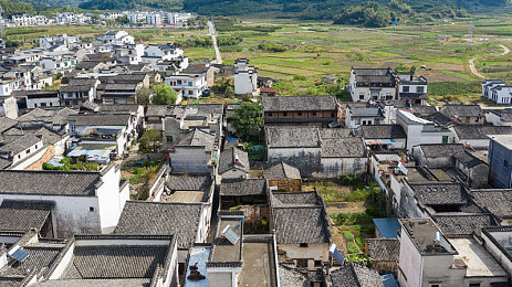 黄色软件下载地址：网络清朗守卫者：警惕暗流，守护心灵净土-2