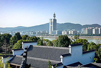 黄色软件免费版：揭秘免费版软件惊喜与隐患：体验便利与隐私风险并存