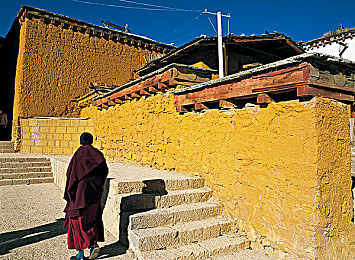 精品免费视频：《幻域探险》奇幻之旅：免费视频解锁神秘宝藏，畅享视觉盛宴-3