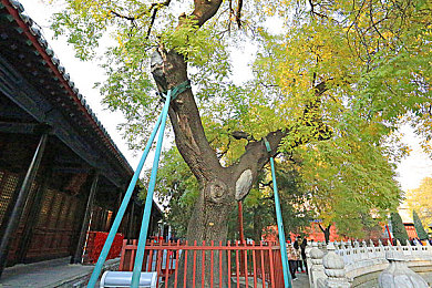 黄色软件app免费下载：揭秘免费色情APP：优势揭秘、使用技巧与安全指南，轻松享受便捷内容-2