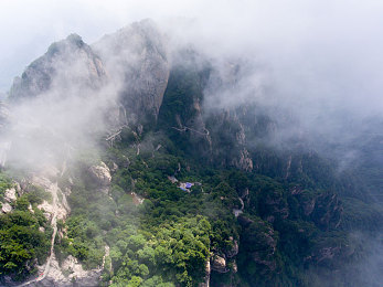 高清黄色视频：净化网络，守护青春，共筑清朗网络家园-2