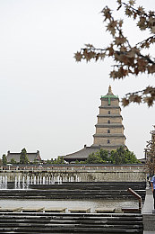 黄色软件免费看：数字视界探秘：揭秘免费视听盛宴背后的文化魅力-2
