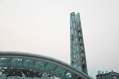 柚子猫对旅行者的：“智能行囊，柚伴旅途，解锁旅行新篇章”