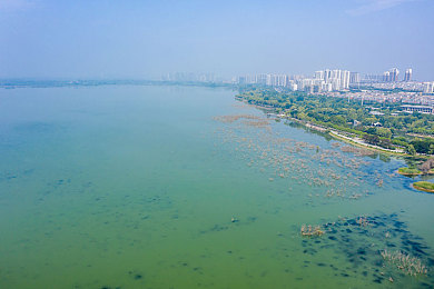 黄游下载3.0.3每天无限次免费大全华为免费2023：华为应用市场新宠“黄游下载3.0.3”每日无限次免费，引发行业热议与反思-2