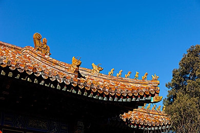 斑马街：繁华都市深藏宁静：斑马街，城市变迁中的文化新地标-3