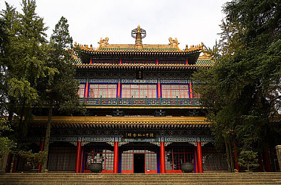 卫生纸如何折磨自己：绿色循环，拯救家园，低碳游戏之旅-3