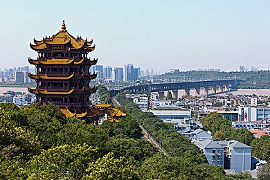 HP黄色软件：秘境探险解密记：幻域宝藏，游戏迷的寻宝奇旅