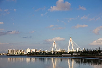 老太太B毛茸茸的：邻里爱心织就守护网，流浪小猫毛毛获温暖归宿-1