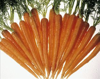 麻花豆传媒剧国产mv的发展前景：影视新势力，麻花豆传媒剧引领国产MV潮流-2
