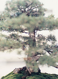 偷窥女人蹲下露黑毛：公共场所偷窥丑闻引爆舆论，道德法治双重反思亟待加强-2