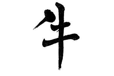 免费无遮挡：畅游无界，自由翱翔：揭秘《自由之路》开放世界新篇章-4