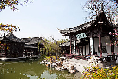 小马拉大车之母爱：母爱助力，梦想驰骋——马术少年成长传奇-2