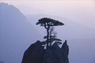 天堂资源中文：畅游娱乐盛宴，尽享视听狂欢-2