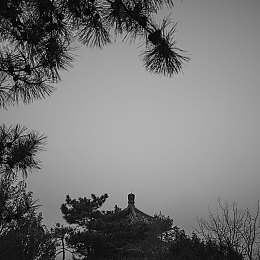 后进式大肥臀：趣味大臀探险，轻松游戏新篇章-3