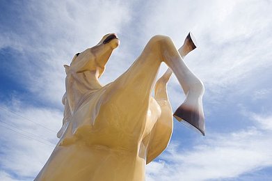 18禁游戏网站入口大全：禁域秘境导航，畅游成人游戏乐园-4