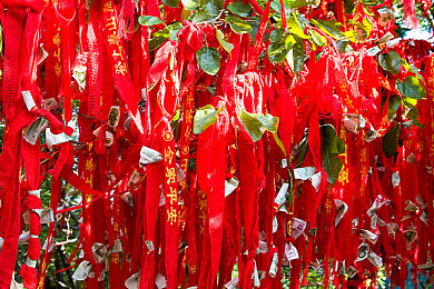 500福利第一导航：畅游游戏天堂，福利盛宴等你来！探索全新导航神器，开启无限乐趣之旅-3