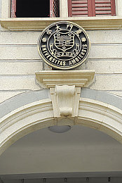 爱情岛论坛京东：浪漫岛屿探险记，邂逅爱情攻略大揭秘