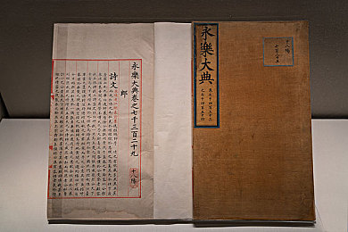 黄色软件破解版：网络净化挑战：破解版软件的隐忧与对策-4