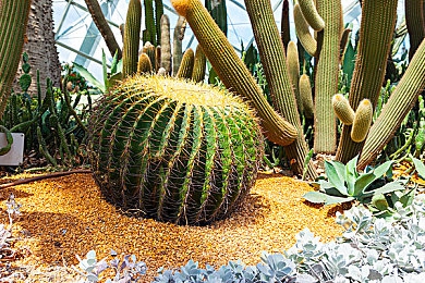 艾米直播：直播新星闪耀，艾米领航未来潮流