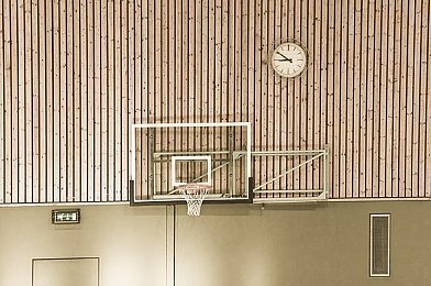 仙踪林成人网：探秘成人乐园，丰富内容等你来体验-2