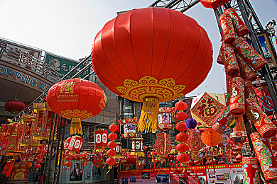 69乐园会员相册：探索乐园秘境，共享会员光影之旅-2