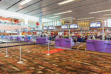 第八号当铺顾桃桃寻小小：时空寻亲之旅，情感悬疑交织-1