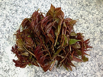 里番本子库全彩○堕落媚肉：揭秘日本成人动漫产业：全彩画面挑战传统审美，里番文化现象引人关注-5
