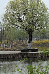 公厕小伙子打飞j1069：厕所奇遇，轻松搞笑，畅游欢乐冒险之旅-4