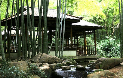 花瓣直播：直播行业新势力崛起，花瓣平台引领潮流，探索多元化发展之路-3
