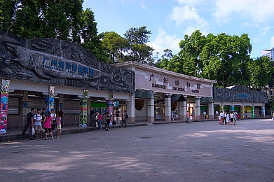 山村小嫩苞1-17集：山村少女成长记：揭秘改革开放下的山村变迁与温情故事