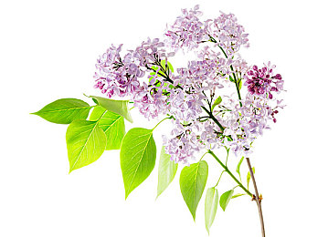 天天日天天舔天天爽天天操：狂野冒险：畅享刺激，拒绝低俗，守护青春心灵-1