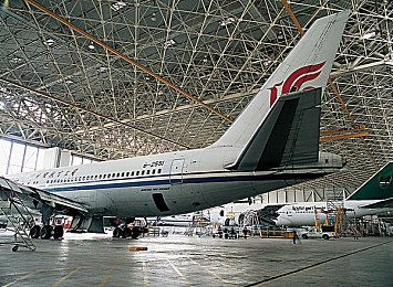 ABA法国空姐：揭开神秘面纱：探寻法国航空优雅空姐的迷人瞬间，让每一次飞行成为永恒记忆-2