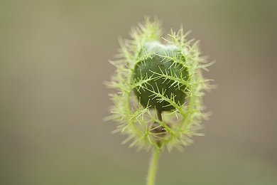 天堂a：东方神话魅力绽放，神秘游戏“天堂”背后故事揭秘，玩家热议不断