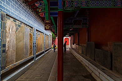 芭乐app官方网站人口统计2023：芭乐社交平台：年轻化趋势显著，千万用户见证潮流引领力-3