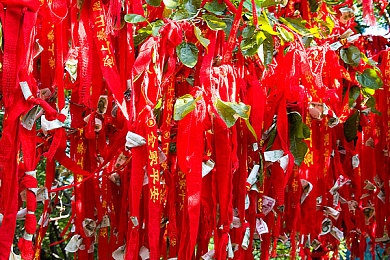 国内精自视频品线一区2022：视听新境界，一区2022领航精彩时光-4
