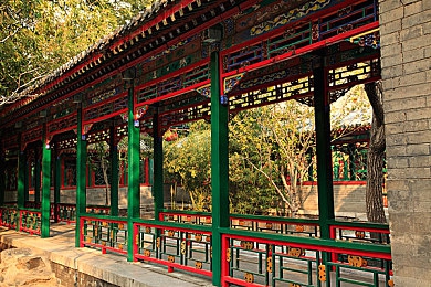 男生女生一起差差APP安装：打破性别界限，共享欢乐时光：差差APP引领新型社交体验-3