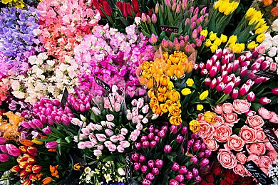大菠萝福祉导航：数字公益新篇章，大菠萝平台助力弱势群体温暖前行-2