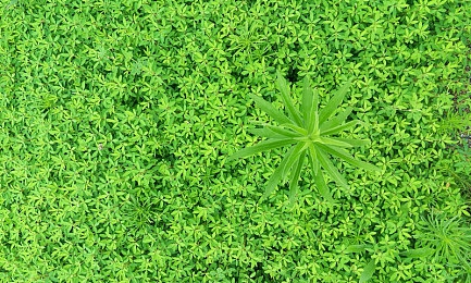 精东影业JDAV1MEA：影视制作新突破，精东技术革新引领行业升级，揭秘JDAV1MEA未来应用前景-2