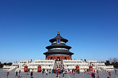 丝瓜,芭乐,猫咪,草莓,小猪：都市小确幸：蔬果萌宠，共绘生活甜蜜画卷-4