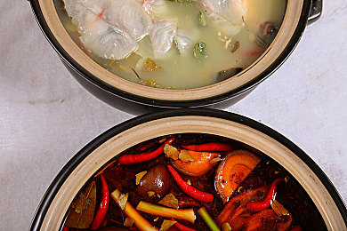 老公拿狗给我配：犬缘奇缘：宠物见证的爱情之旅