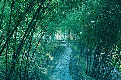 国产精品九九九九：探寻东方魅力，国产游戏巅峰之作“九九九九”揭秘-5