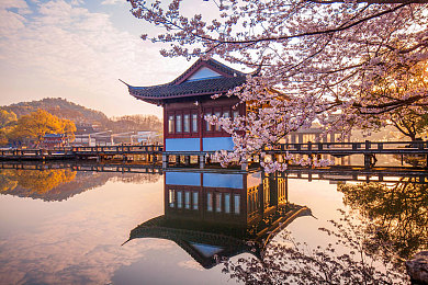 含羞草2025：未来2025，神秘游戏“含羞草”即将掀起全球热潮，揭秘其诗意起源与独特魅力