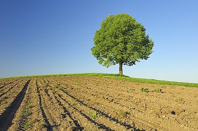 流盲软件免费下载aop安卓版：畅游游戏新体验，AOP助手助你一“键”通关-2