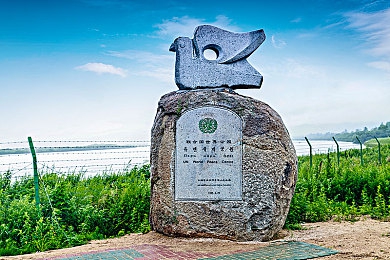暗网软件：暗域探秘：解锁深网中的神秘应用宝藏-3