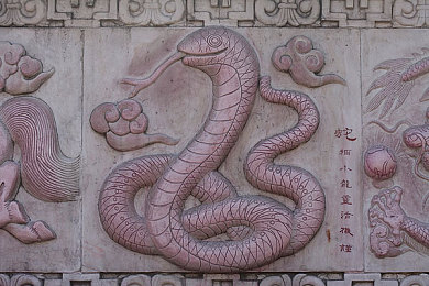 星空传媒在线观看视频：视听盛宴，星空奇遇之旅-3